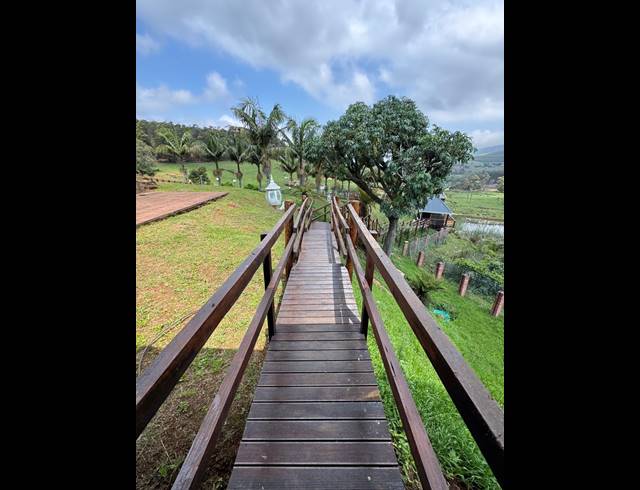 40HA FARM FOR SALE IN BYRNE